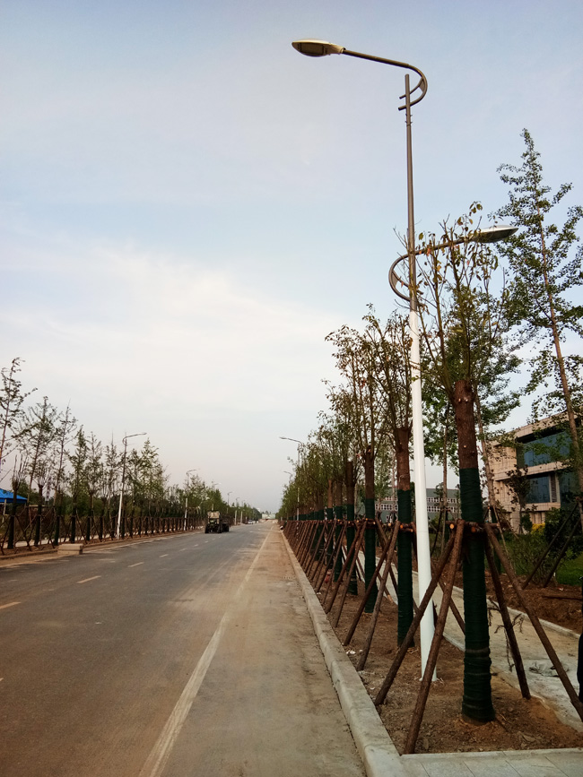 雙臂道路燈|道路燈-河南蘇亞新能源科技有限公司
